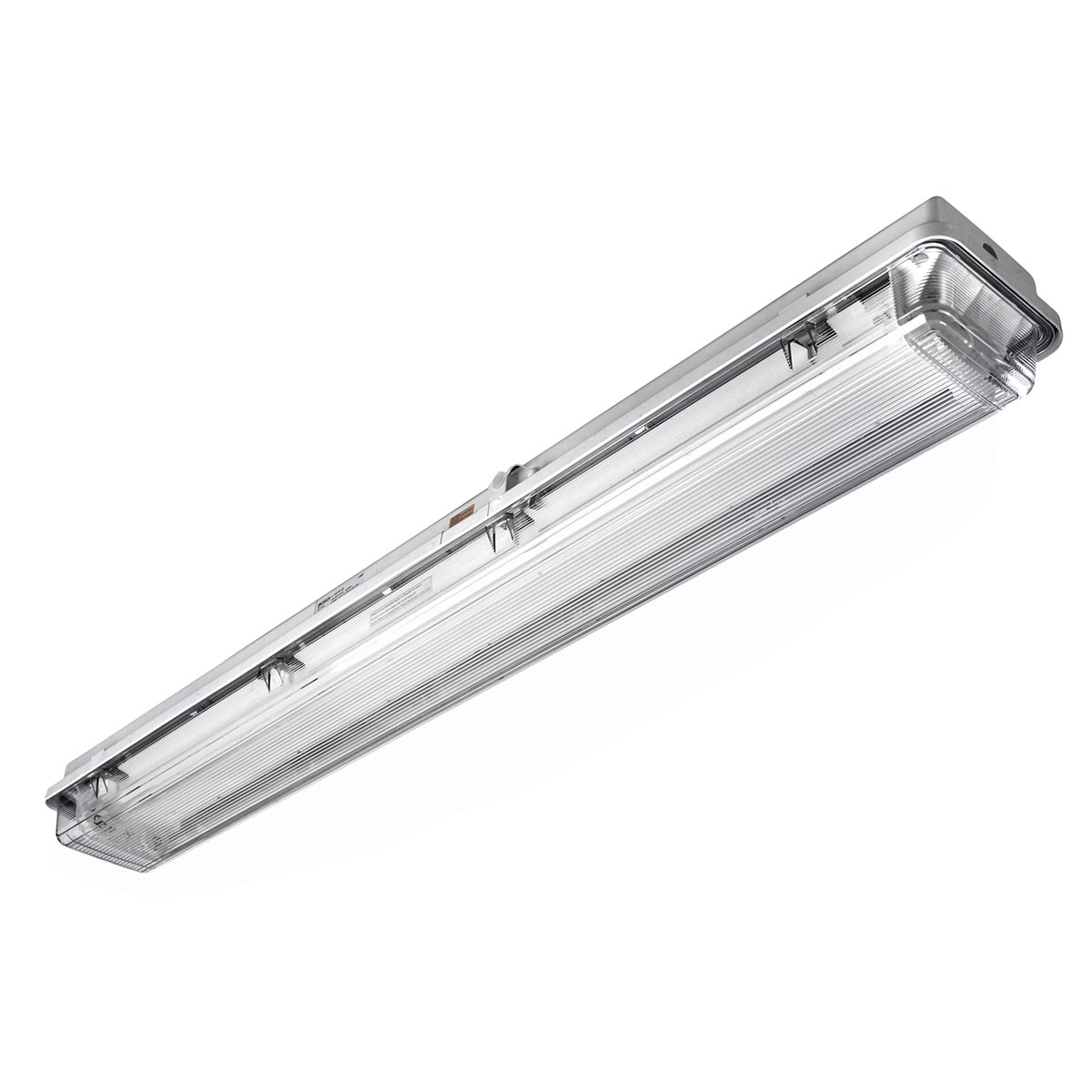 Ex-geschützte Langfeldleuchte, 2 x 58 W, inkl. Schalter IP 54, für Gefahrstoffcontainer